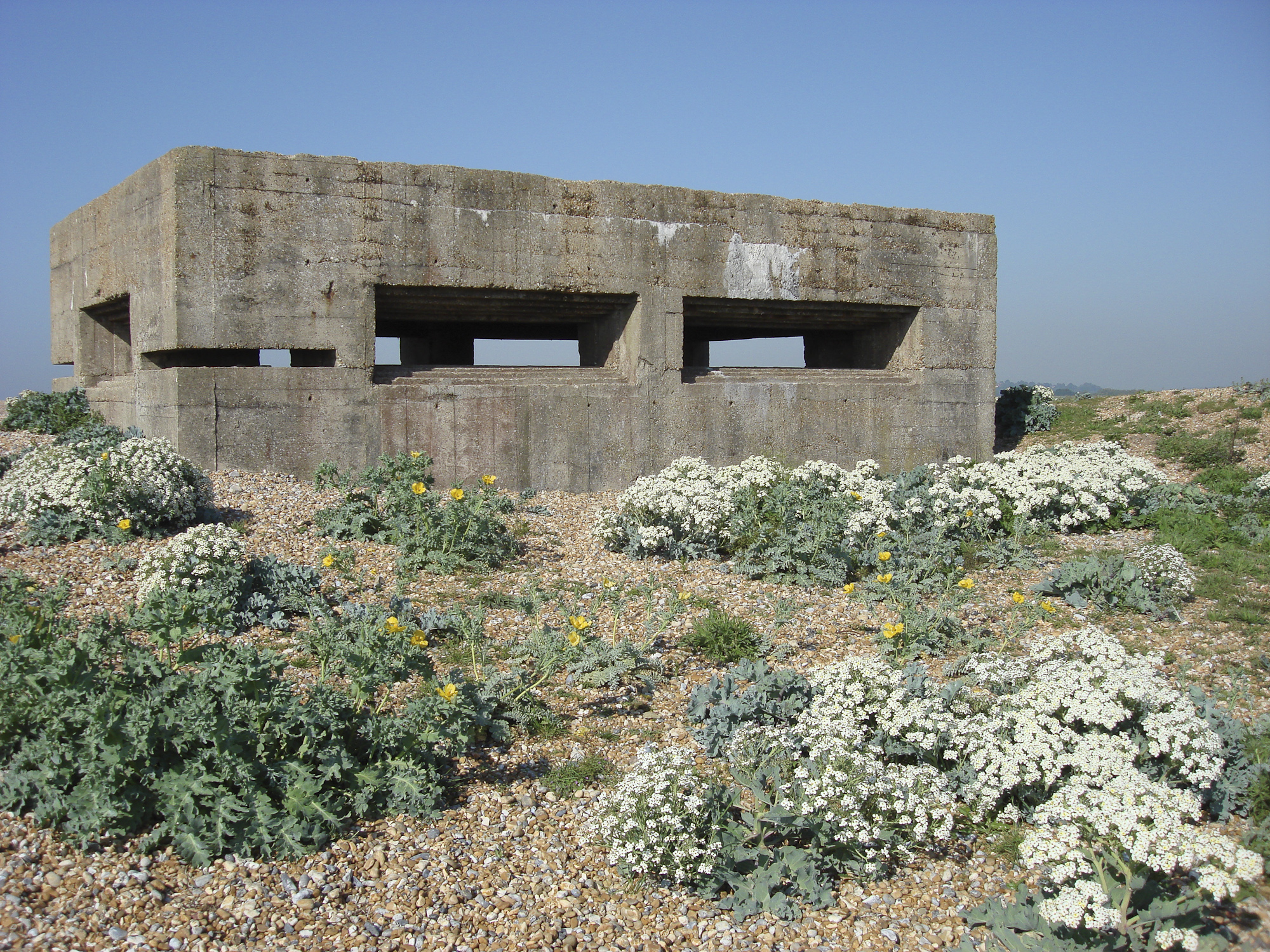 Rye Harbour Pillbox Open Day (17/09/22)