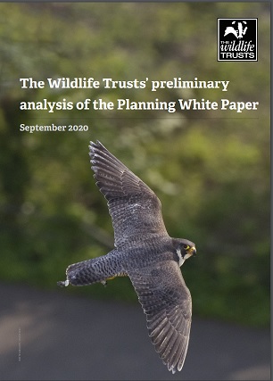 Planning White Paper