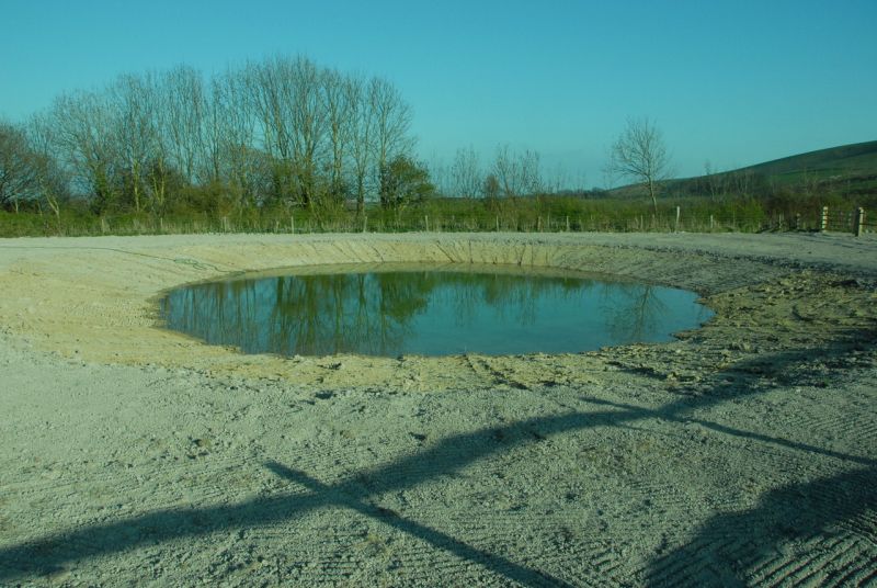 Pond March 2010 © Richard Pemberton