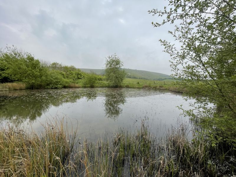Pond now © Grahame Mayo