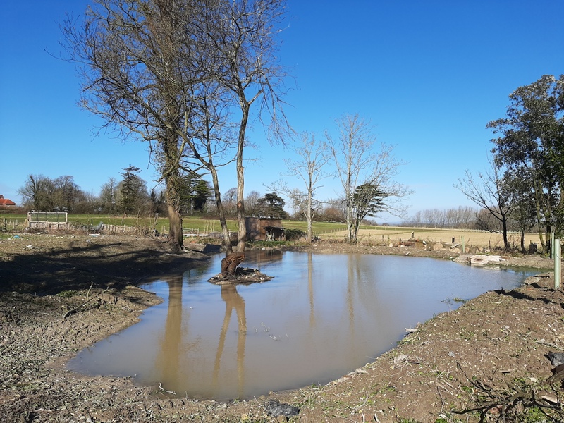 A pond restoration funded by the Nature Recovery Award