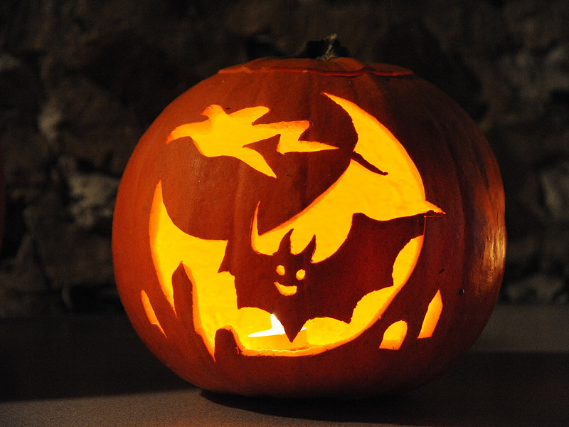 Wildlife-friendly Halloween ideas