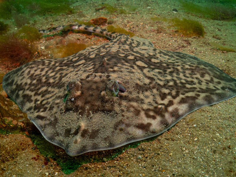 Secrets beneath the sea