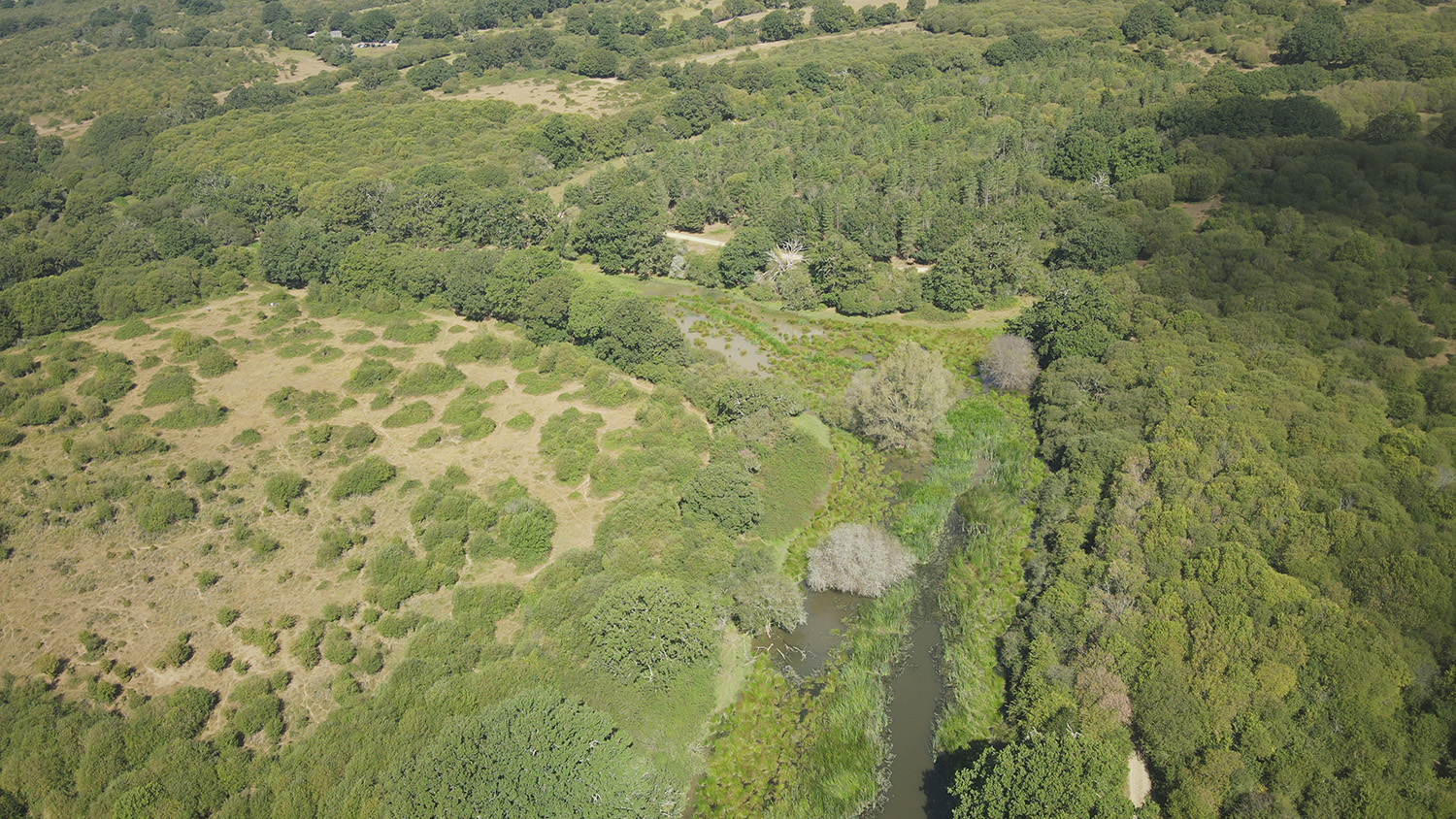 Aerial view of Beaver enclosure at Knepp © Matt Phelps/Knepp Wildland