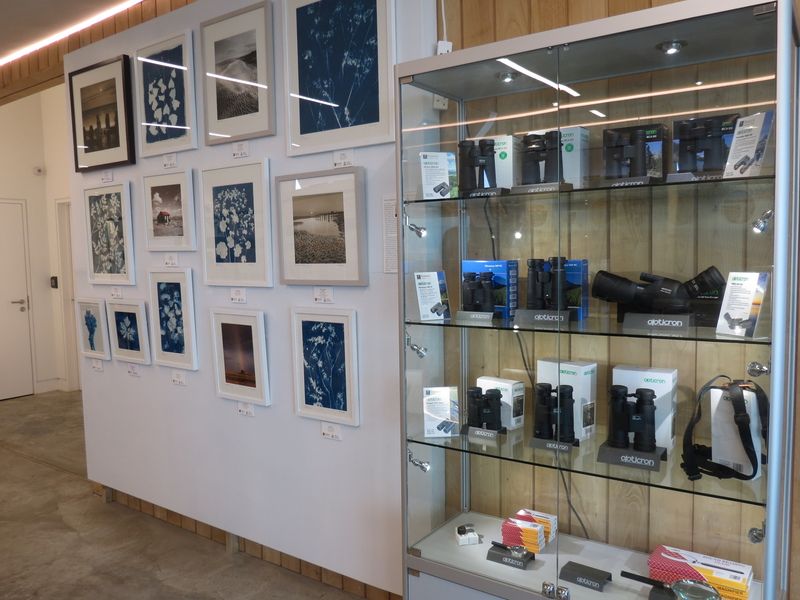 Binocular display © Kathy Crowther