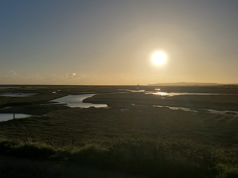 Heartbreak and Hope: The bio-bead crisis at Rye Harbour Nature Reserve