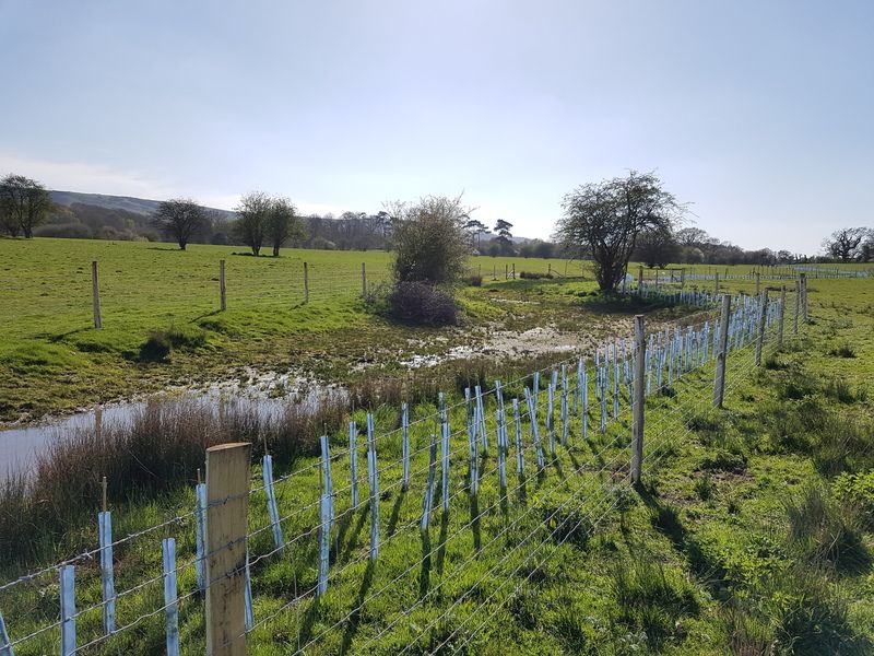 Riparian corridor © Matt Turley Riparian corridor © Matt Turley