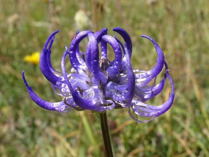 On the reserves - what's special about Levin Down? | Sussex Wildlife Trust