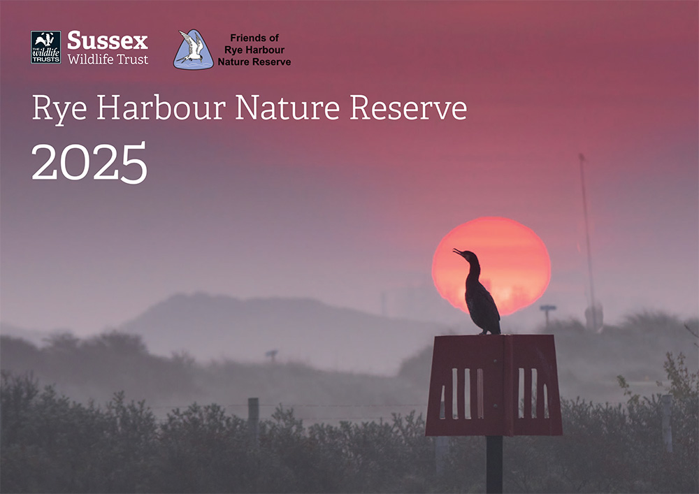 Rye Harbour Nature Reserve calendar 2025