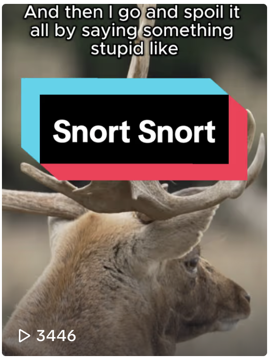 Sussex Wildlife Trust TikTok