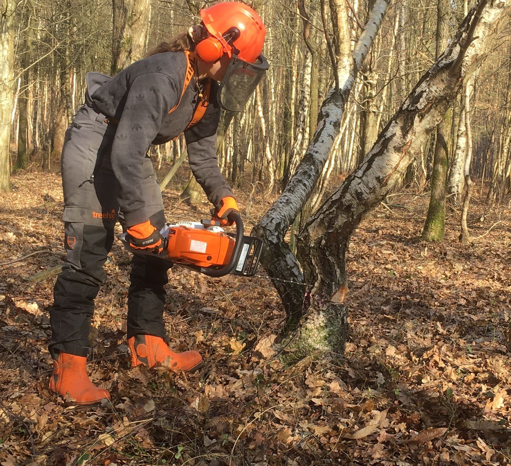 February update from Heritage Trainee Shannon Rae