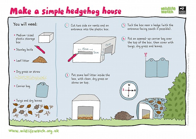 SIMPLE HEDGEHOG HOUSE 800