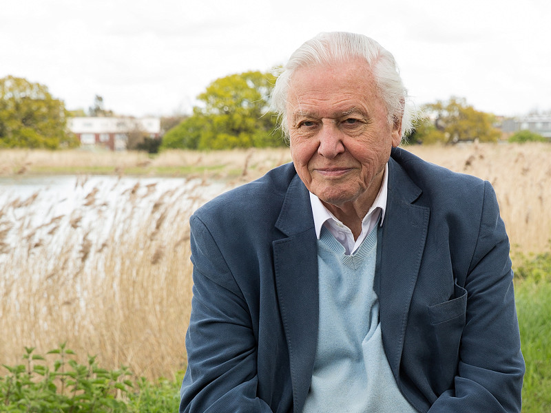 Sir David Attenborough at 100 - a celebration of nature and community