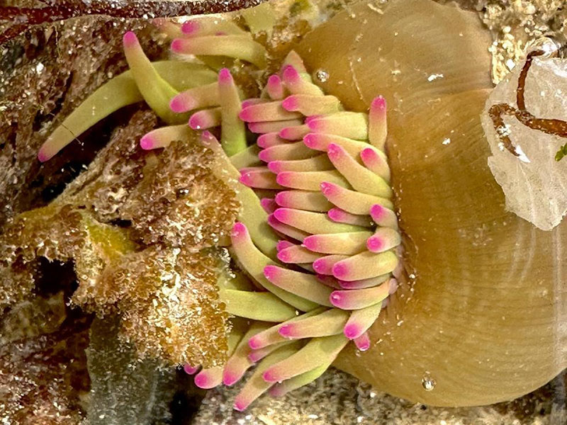 Five ways to get closer to the ocean