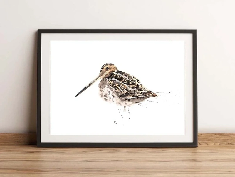 Snipe