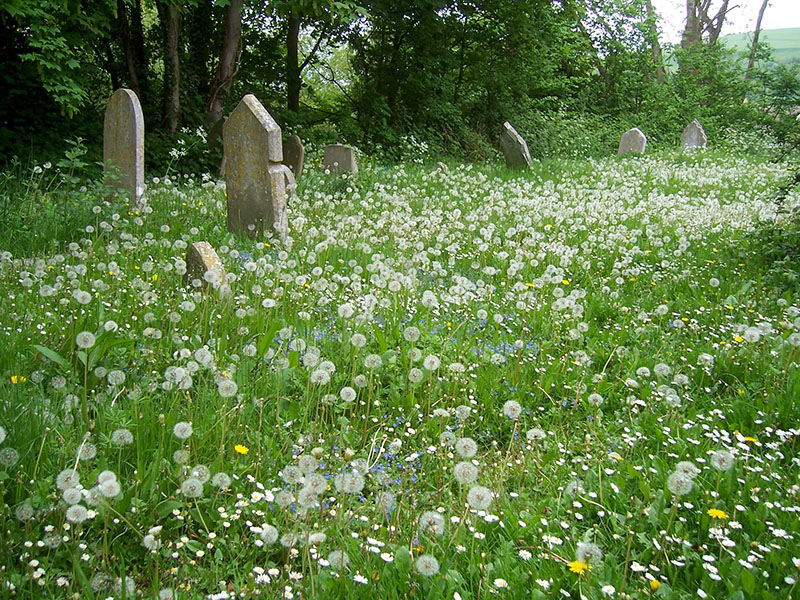 St John sub Castro churchyard © Patrick Collinson