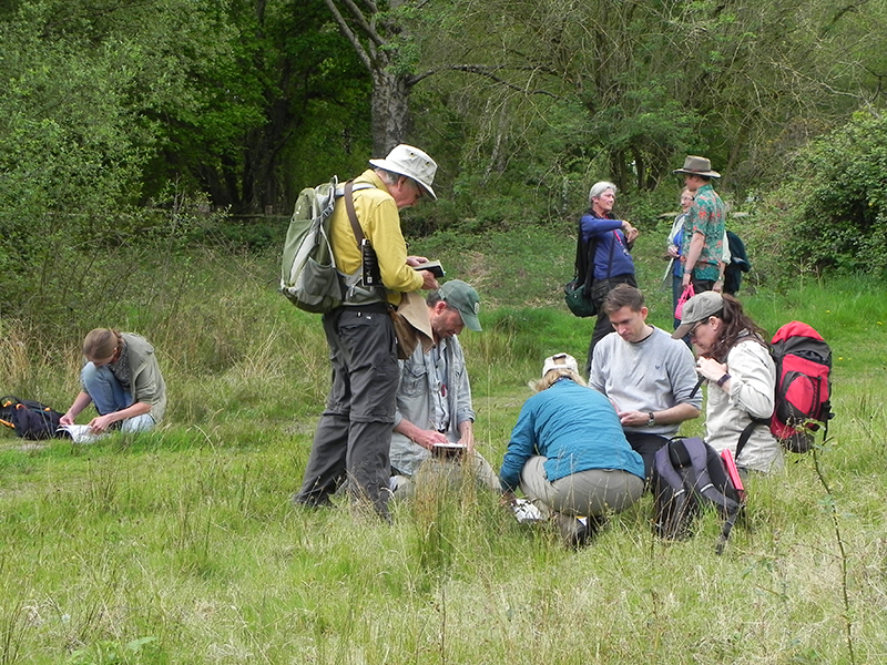 SBRS field trip to Stedham Common © Nick Sturt