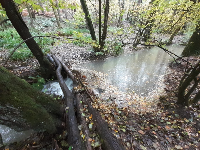 Leaky dam © Sam Buckland