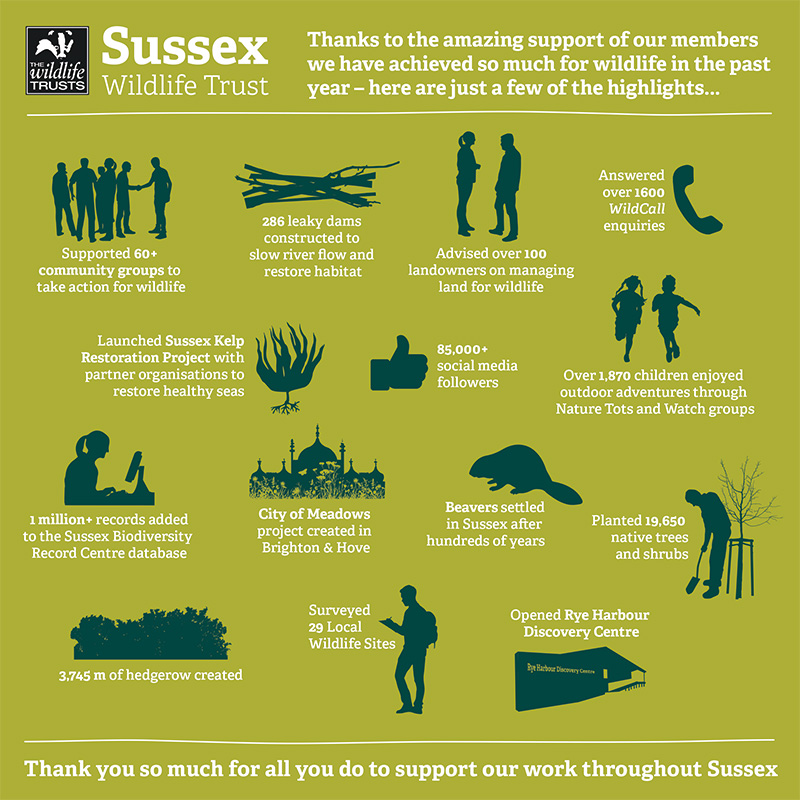 Sussex Wildlife Trust Achievements 2022
