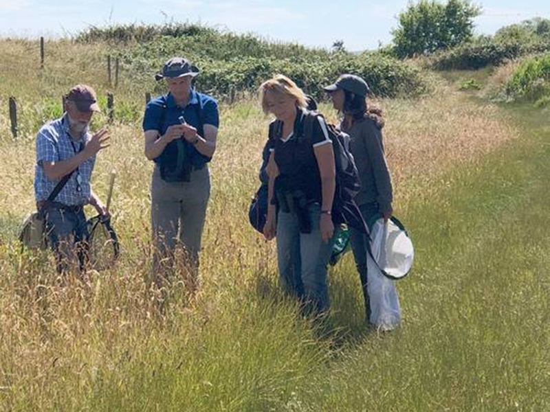 Sussex Wildlife Trust Bee ID Course © S Morgan