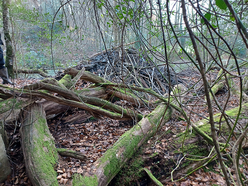Beaver lodge Beaver lodge