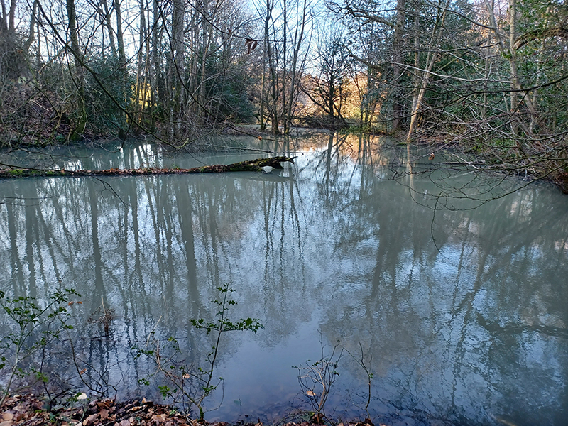 Pond enhanced by Beavers © Emma Chaplin Pond enhanced by Beavers © Emma Chaplin