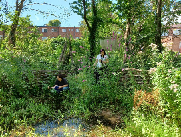 Pond-dipping at the Deneway (c) Sophie Atkinson
