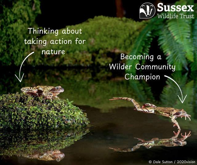 Webinar: Take Action for Nature - Introducing our Free Wilder Community Champions Training