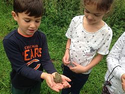 Crawley - Tilgate Park  Wildlife Watch - Age 5-11  (12/03/2022)
