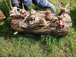 Rye Harbour - Nature Tots (20/07/2022)