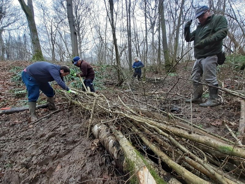 Volunteers building leaky dams © Sam Buckland