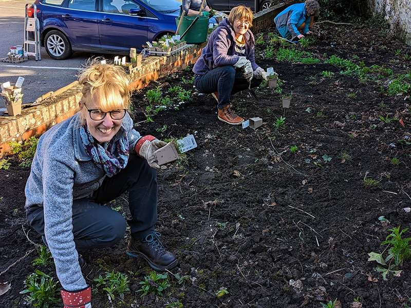 Wildflower Lewes and the High Street pollinator project