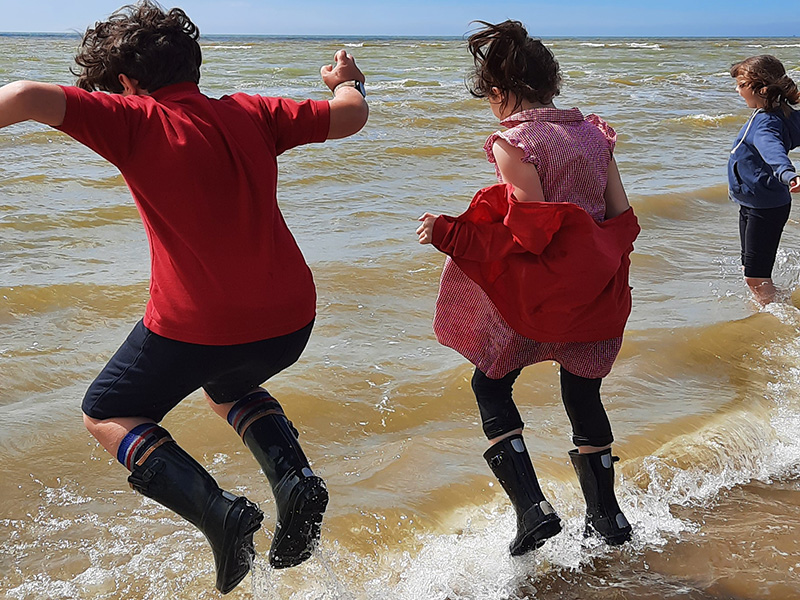 What is the definition of a Wild Beach child?