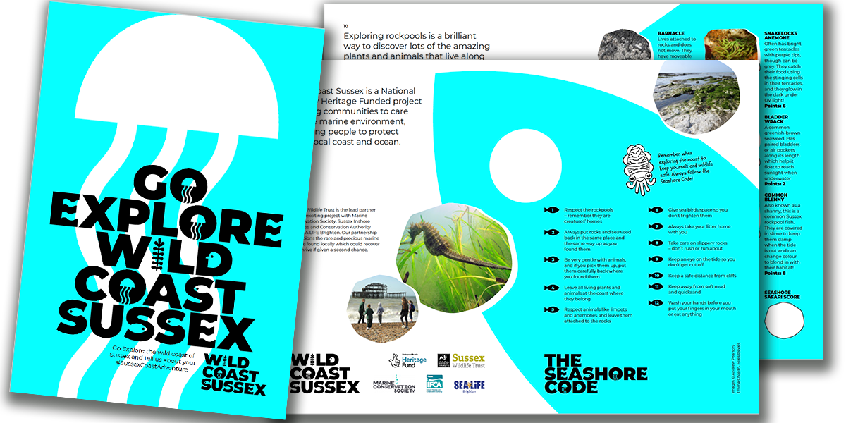 Go Explore Wild Coast Sussex Go Explore Wild Coast Sussex