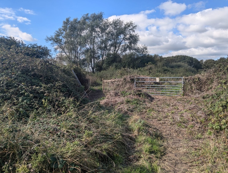 The new path entrance