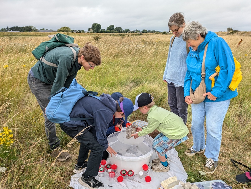 Opening the moth trap