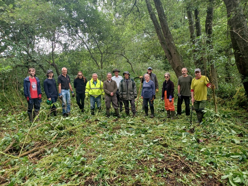 Wilder Horsham District Working Party © Emma Chaplin