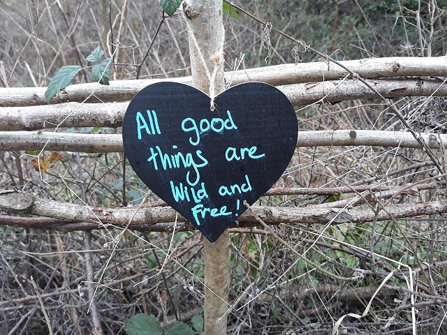 Wild about Art morning for pre-schoolers– Rye Harbour Nature Reserve (30/03/2024)