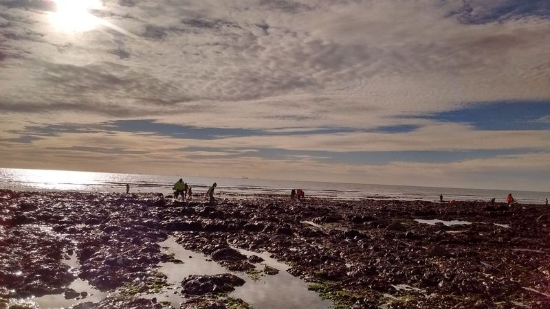 Wild Beach training
