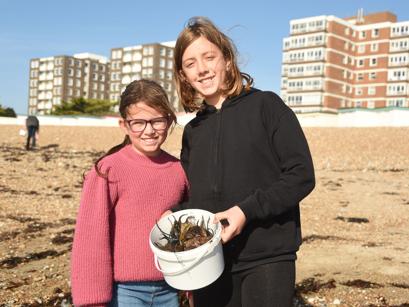 Our Wild Sussex: Helping nature to recover