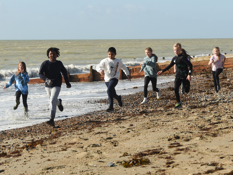 Wild Coast Sussex Elm Grove Primary © Miles Davies Wild Coast Sussex Elm Grove Primary © Miles Davies