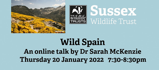 Webinar: Wild Spain