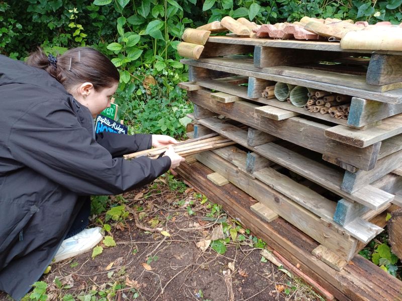 Young person putting a piece of wood into a wildlife hotel