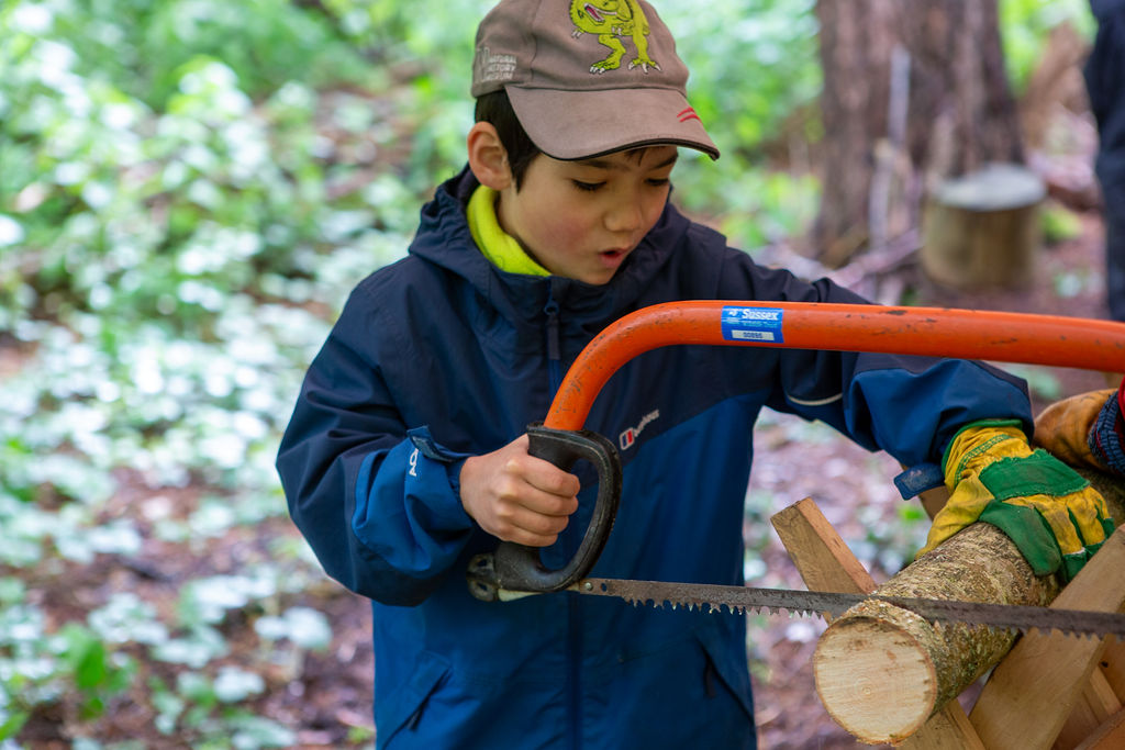 Crawley – Tilgate Park Wildlife Watch  Age 5-11yrs, Block of four Saturdays 14/09/24