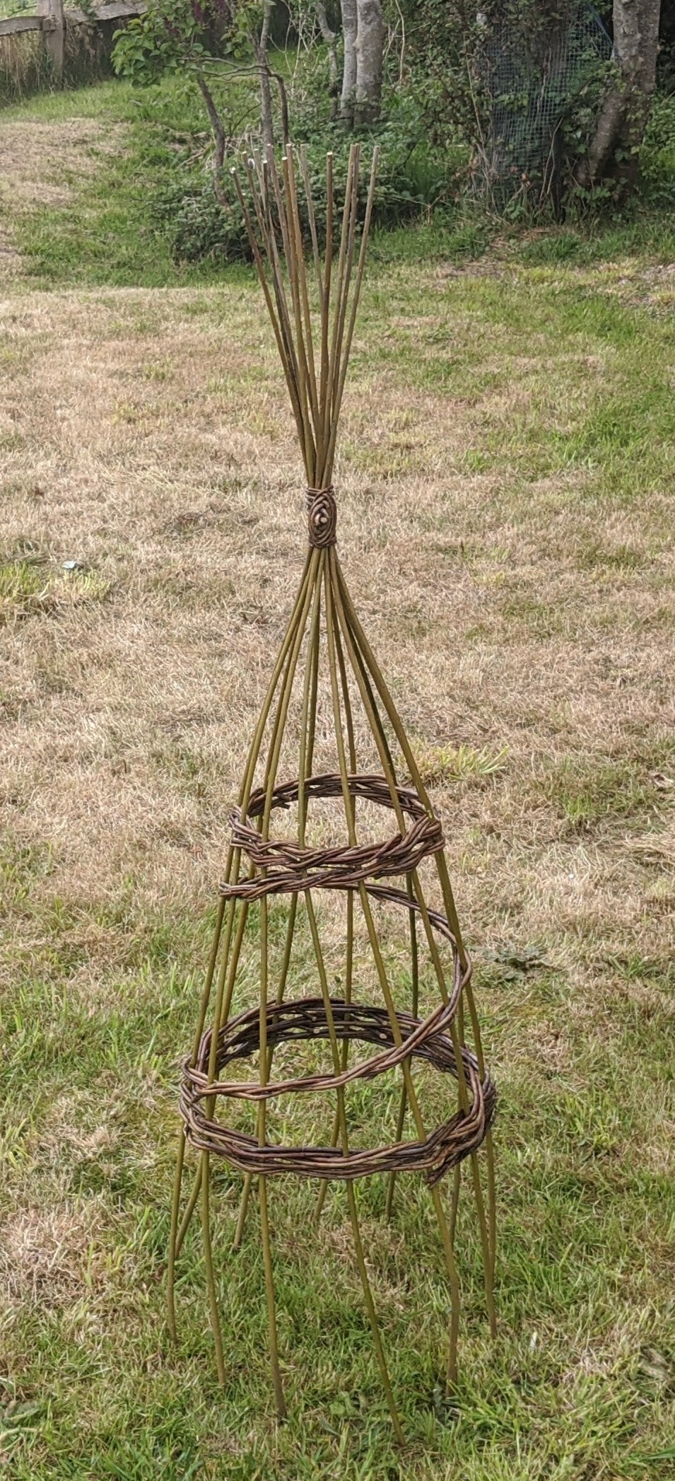 Photograph of a woven willow plant support in a garden, by Julie Gurr