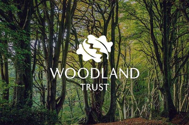 Webinar: Woodlands and the Planning System