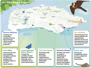 Wild Sussex map