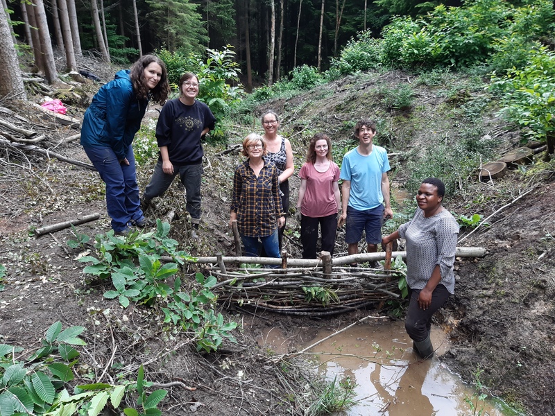 Managing water at Wilderness Wood