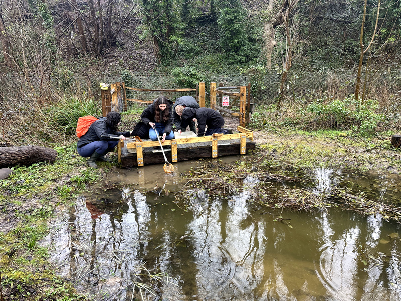 Brighton Ecological Society visit the Deneway